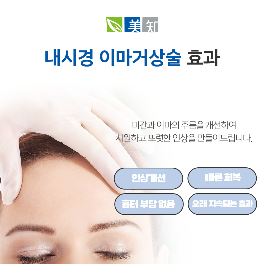 강남이마거상술